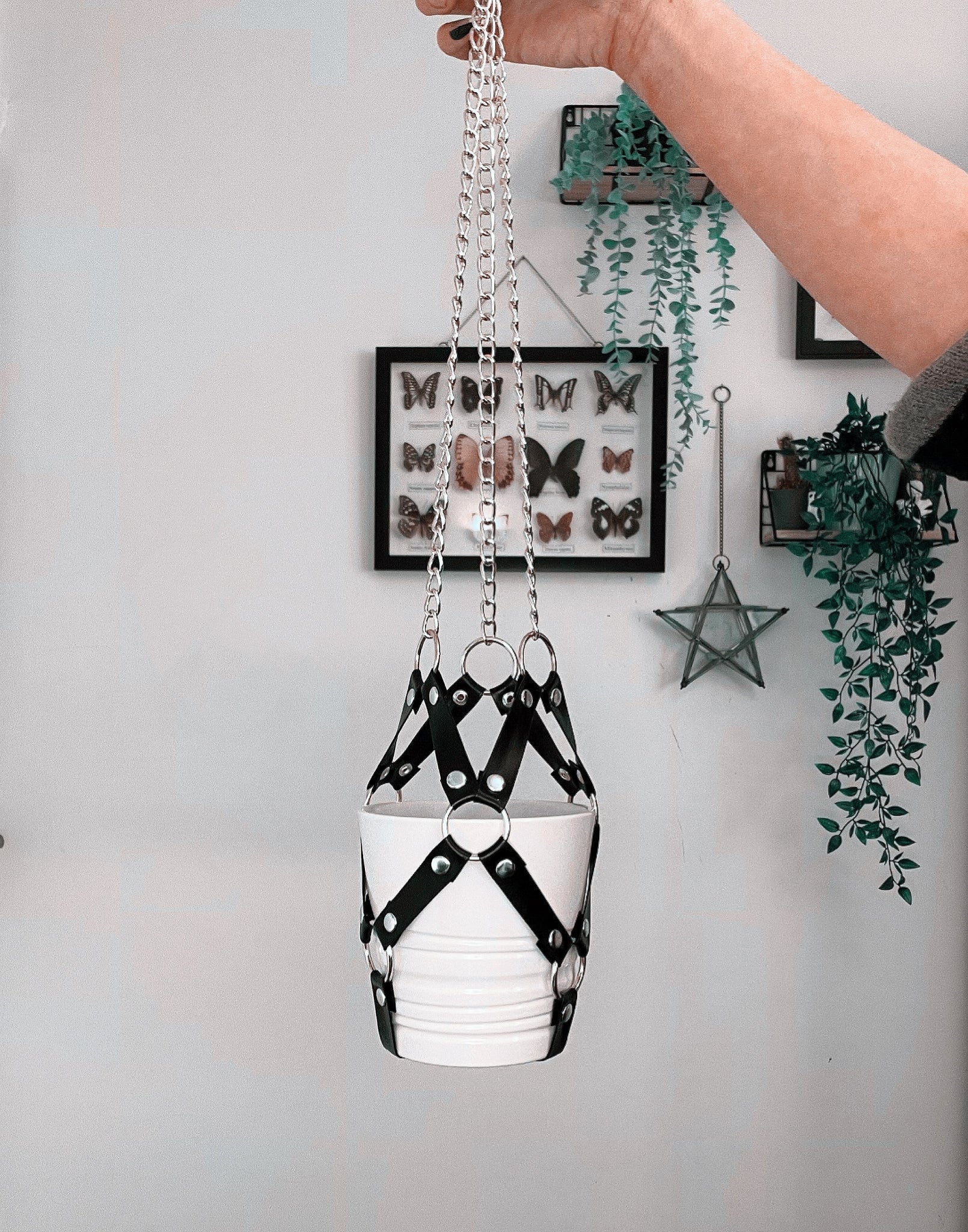 harness plant hanger Harness plant hanger – Lorna Jane Harnesses