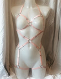 Arietti Full Body Harness